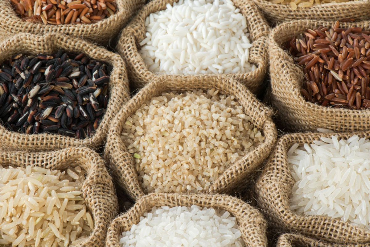Rice